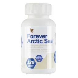 Forever Arctic Sea